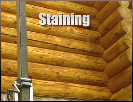  Estill,  South Carolina Log Home Staining